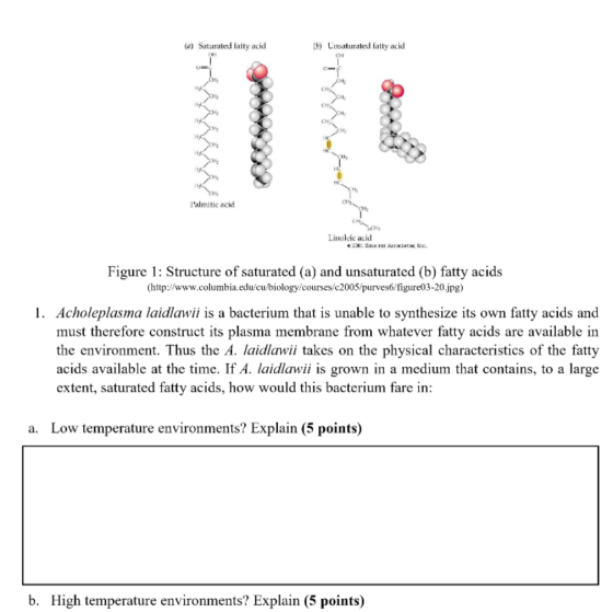 (2) Saturated fatty acid (6) Cusaturated fatty acid lalmitic acid Linoleic acid 200: Sins Assxiatec Figure 1: Structure of s