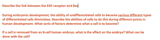 Describe the link between the EGF receptor and Ras During embryonic development, the ability of undifferentiated cells to bec