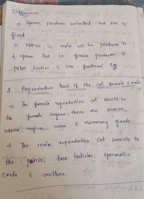 Difforences 3 sperms produces unlimited o but ova is fixed Meiosis is 4 sperm But male will be producre to a in Yemale produc