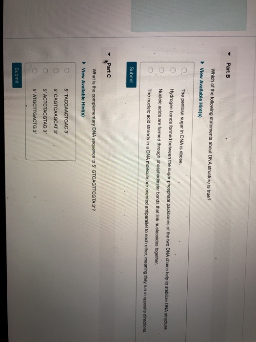 Part B Which of the following statements about DNA structure is true? View Available Hint(s) The pentose sugar in DNA is ribo