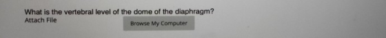 What is the vertebral level of the dome of the diaphragm? Attach File Browse My Computer