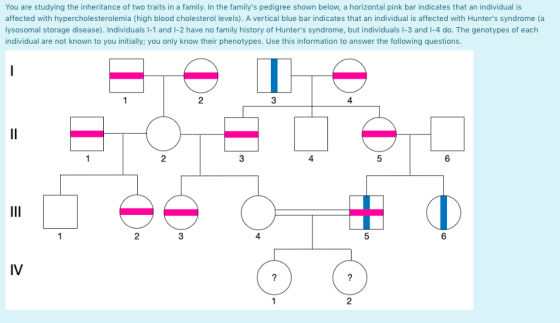 You are studying the inheritance of two traits in a family. In the familys pedigree shown below, a horizontal pink bar indic