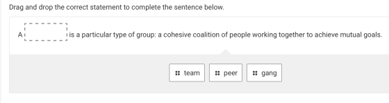 Drag and drop the correct statement to complete the sentence below. AI i is a particular type of group: a cohesive coalition