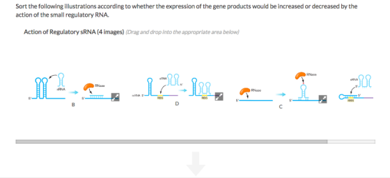 Sort the following illustrations according to whether the expression of the gene products would be increased or decreased by