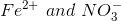 Fe^{2+} \ and \ NO_3^-
