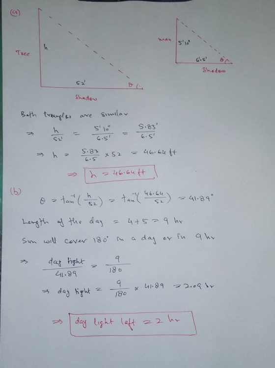 at Tsee Shadoe S.83 ie S11 S.83 G.S 1 46.64 -y 46.24) 41-89 in dat hght 네.99 180