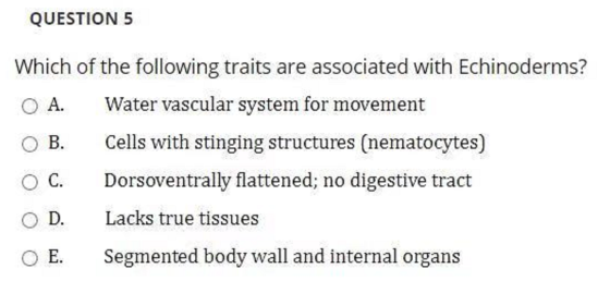 QUESTION 5 Which of the following traits are associated with Echinoderms? O A. Water vascular system for movement B. Cells wi