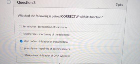Question 3 3 pts Which of the following is paired CORRECTLY with its function? terminator - termination of translation telome