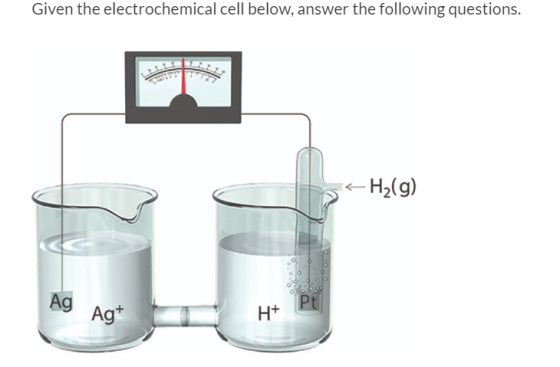 Given the electrochemical cell below, answer the following questions. S<H2(g) 00 Ag Agt H+