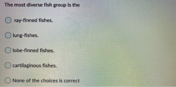 The most diverse fish group is the ray-finned fishes. lung-fishes. lobe-finned fishes. cartilaginous fishes. None of the choi
