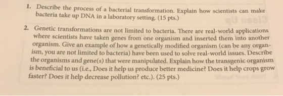 1. Descri be the process of a bacterial transformation. Explain how scientists can make bacteria take up DNA in a laboratory setting. (15 pts.) 2. Genetic transformations are not limited to bacteria. There are real-world applications where scientists have taken genes from one organism and inserted them into another organism. Give an example of how a genetically modified organism (can be any organ- ism, you are not limited to bacteria) have been used to solve real-world issues. Describe the organisms and gene(s) that were manipulated. Explain how the transgenic organism is beneficial to us (i.e., Does it help us produce better medicine? Does it help crops grow faster? Does it help decrease pollution? etc.). (25 pts.)