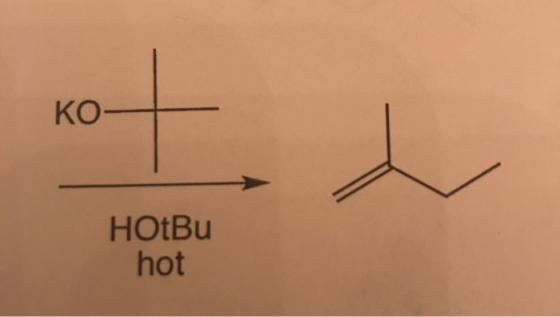 KO kot HOtBu hot