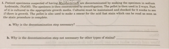 1. Patient specimens suspected of having Mycobacteriun are decontaminated by soaking the specimen in sodium hydroxide, (NaOH)