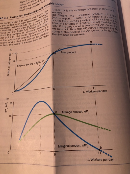 labor, and the figures are smooth employing a worker for a ble Labor ont woroint A is the average product of labor for workers. comcustroduct of labor curve shoh eight computers, q. can be RE 5.1 Production Rela line. wi Bl. the tof computers assembled icient and is thus no hein abl ignt-hour days nd point 8). the Tos that SUCthe prigin he total product of labor Curvewith Cima workbencheseight-houexr mbied umn 5 of Table 5.1) curve, the AP must rise Q/ wokers, L who work e where assem s a ry, if the MP, curve is below the AR curve s Where the marginal product of ve the average product of labor (APe prod, of f workers ns 2 and 3 in Table 5.1). Where able te urvtn A must fall. Thus, the MP curve intersects te thye e Ap he duce the number du at the peak of the AP curve, point b,whar dthe firm uses six workers. d line, which indicates nction. The slope of the line from the of the lne sepeoforpor of the produc- c Total product 90 Slope of this line 906 15 6 L, Workers per day g 20 15 a Average product, APL Marginal product, MP L, Workers per day