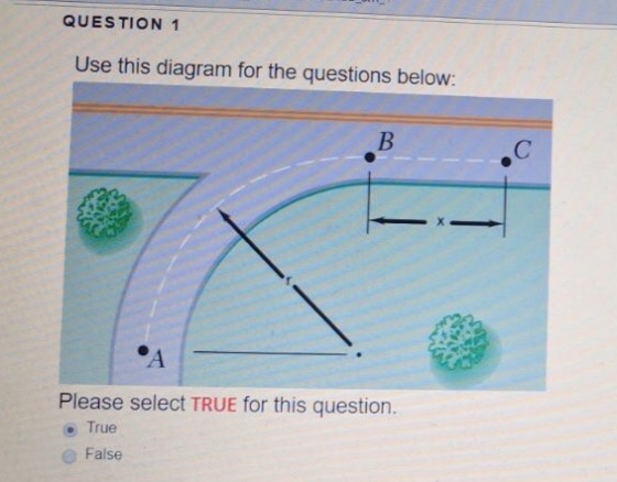 QUESTION 1 Use this diagram for the questions below: Please select TRUE for this question. True False