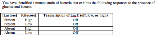 You have identified a mutant strain of bacteria that exhibits the following responses to the presence of glucose and lactose. Transcription of LacY (off, low, or high) [Lactose] Glucose]T PreseHigh Present Off Low Off Off Absent Low