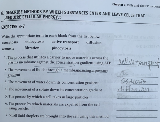 Chapter 3 Cells and Their Functions ESCRIBE METHODS BY WHICH SUBSTANCES ENTER AND LEAVE CELLS THAT REQUIRE CELLULAR ENERGY。 EXERCISE 3-7 Write the appropriate term in each blank from the list below exocytosis endocytosis active transport diffusion osmosis filtration pinocytosis 1. The process that utilizes a carrier to move materials across the plasma membrane against the concentration gradient using ATP 2. The movement of fluids through a membrane using a pressure gradient 3. The movement of water down its concentration gradient 4. The movement of a solute down its concentration gradient 5. The process by which a cell takes in large particles 6. The process by which materials are expelled from the cell Os MO using vesicles 7. Small fluid droplets are brought into the cell using this method