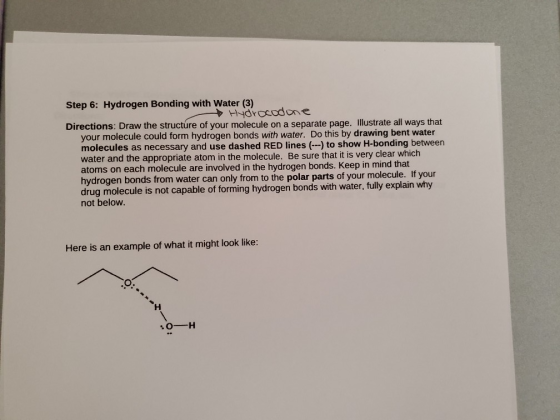 Step 6: Hydrogen Bonding with Water (3) Hydrocodone Directions: Draw the structure of your molecule on a separate page. Illus