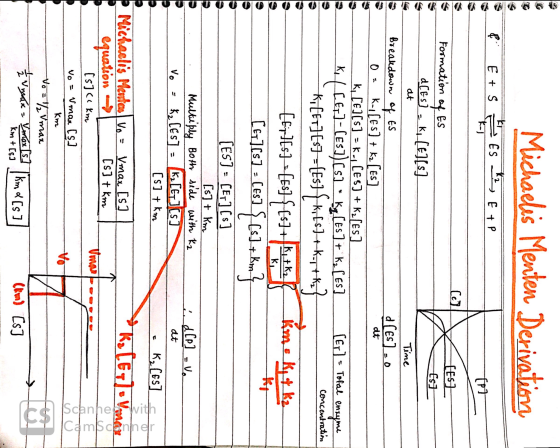 Michaelis Menten Derivation E + S E ES 12; E + P [ES] Formation of Es d[es] . ki[E][s] Est at 1. Time d[es] -0 at [Er] = Tota