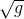 \sqrt{g}
