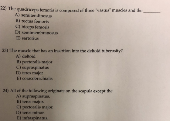 22) The quadriceps femoris is composed of three vastus muscles and the A) semitendinosus B) rectus femoris C) biceps femoris D) semimembranosus E) sartorius 23) The muscle that has an insertion into the deltoid tuberosity? A) deltoid B) pectoralis major C) supraspinatus D) teres major E) coracobrachialis 24) All of the following originate on the scapula except the A) supraspinatus. B) teres major. C) pectoralis major D) teres minor E) infraspinatus