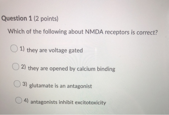 Question 1 (2 points) Which of the following about NMDA receptors is correct? 1) they are voltage gated O2) they are opened b