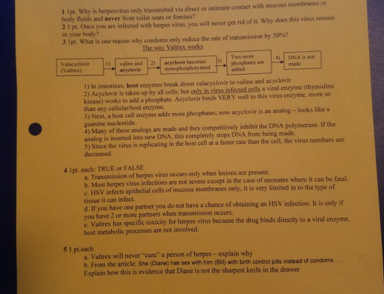 1 1pt. Why is herpesvirus only transmitted via direct or intimate contact with mucous membranes or body fluids and never from