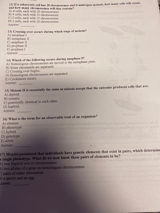underers meiosis, how many cells will result, 12) If a eukaryotic cell has 20 chromosomes and and how many chromosomes will t