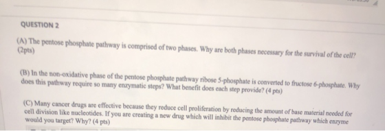 QUESTION 2 (A) The pentose phosphate pathway is comprised of two phases. Why are both phases necessary for the survival of th