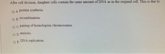 After cell division, daughter cells contain the same amount of DNA as in the original cell. This is due to A protein synthesi
