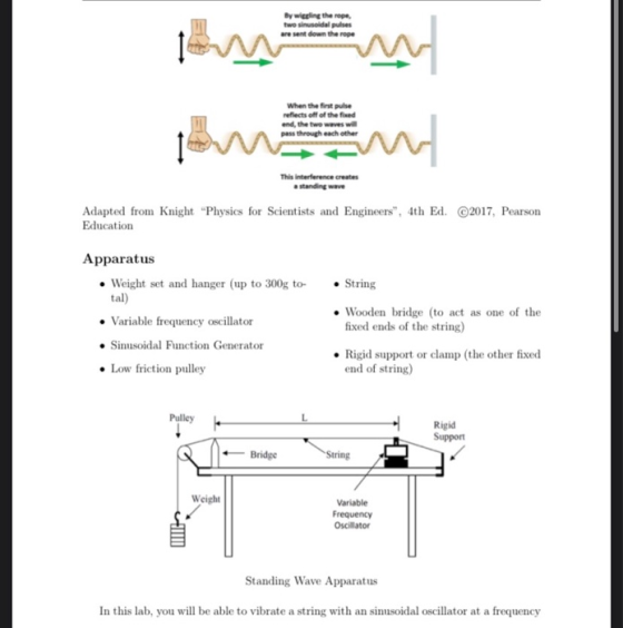 By wiecling the rope, two sinusoidal pulses are sent down the rope Amy oman When the first pulse reflects off of the feed end