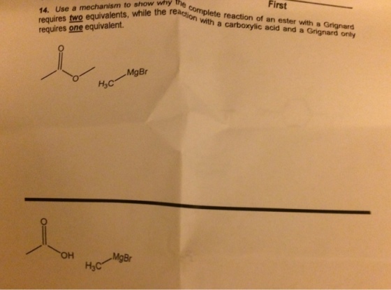 orgo