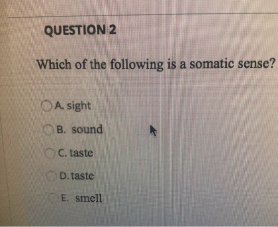 QUESTION 2 Which of the following is a somatic sense? A. sight B. sound C. taste D.taste E. smell