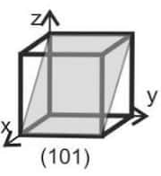 (101)