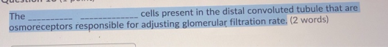 The cells present in the distal convoluted tubule that are osmoreceptors responsible for adjusting glomerular filtration rate