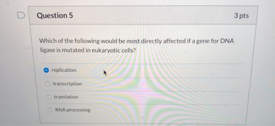 Question 5 3 pts Which of the following would be most directly affected if a gene for DNA ligase is mutated in eukaryotic cel