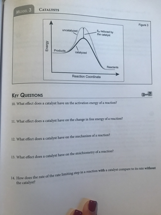 MODEL 3 CATALYSTS Figure 3 uncatalyzed Es reduced by the catalyst Energy Products catalyzed Reactants Reaction Coordinate KEY