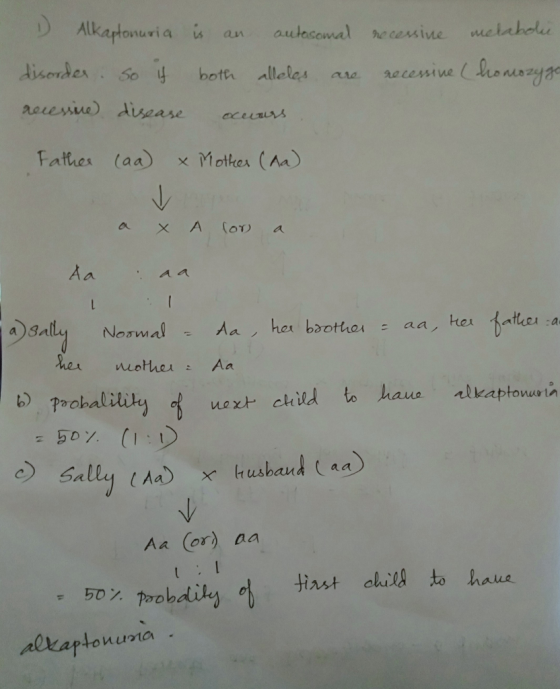 Alka tonuri aus an attacownlhoewİne melnhu botth Alleles ara rocesmive uonuaz4ao eresua disease ceas O a n。xt child to haua akkaptowo In xHusban