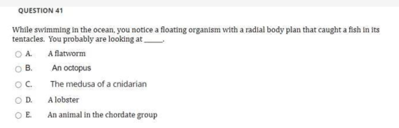 QUESTION 41 While swimming in the ocean, you notice a floating organism with a radial body plan that caught a fish in its ten