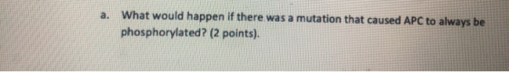 a. What would happen if there was a mutation that caused APC to always be phosphorylated? (2 points).