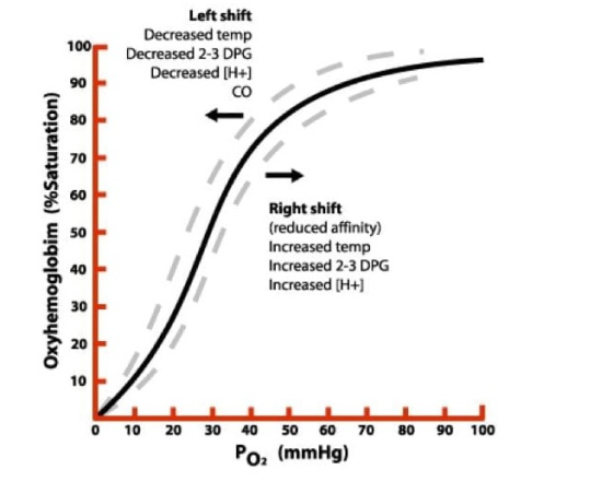 Left shift Decreased temp Decreased 2-3 DPG Decreased [H+] CO Oxyhemoglobim (%Saturation) Right shift (reduced affinity) Incr