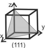 (111)