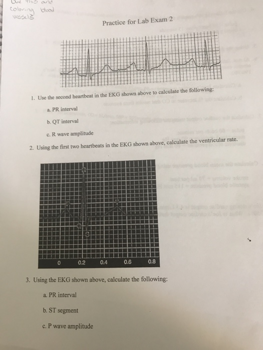and colonng dload Practice for Lab Exam 2 1. Use the second heartbeat in the EKG shown above to calculate the following: a. P