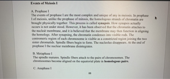 Events of Meiosis 1 A. Prophase I The events of prophase I are the most complex and unique of any in meiosis. In prophase 1 o