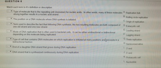 QUESTION 8 Match each term to its definition or description. Type of molecule that is the repeating unit (monomer) for nudleic acids. In other words, many of these molecules A Replication fork strung together results in a nucleic acid strand B Rolling circle replication The position on a DNA molecule where DNA syntheis is initiatecd C Origin of replication D Term used to describe the fact that following DNA synthesis, the two resulting molecules are both composed of . Eukaryotic cel E. Leading strand one old strand and one new strand Mode of DNA replication that is often used in bacterial cells. It can be either unidirectional or bidirectional depending on the molecule being replicated Lagging strand Type of cell that contains DNA molecules on which replication is initiated at many positions and roceeds in a G Theta replication bidirectional fashion End of a daughter DNA strand that grows during DNA replication DNA strand that is synthesized continuously during DNA replication H. Semiconservative L 3 end J. 5 end K Prokaryotic cell L Nucleotide