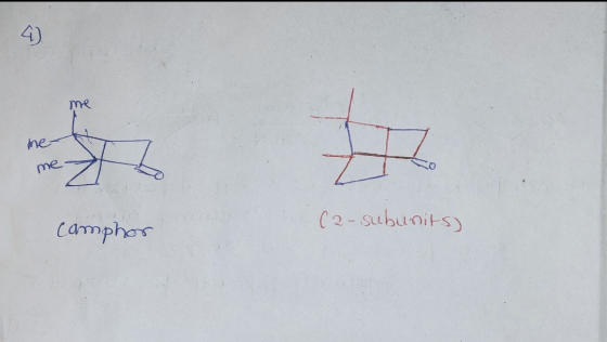 camphor (2-subunits)