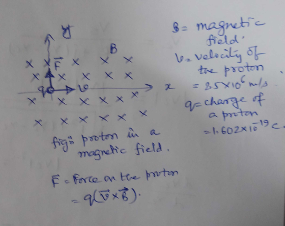 8- magnti freld L9 monhc field