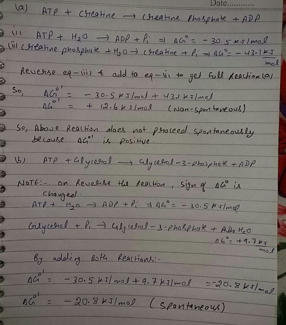 Date.... la) ATP + creatine Creatine Phosphate + ADP 3 ATP + H₂O ADP + Pi = AG = - 30.5 kJ/mol clieatine phosphate + H₂ot cre