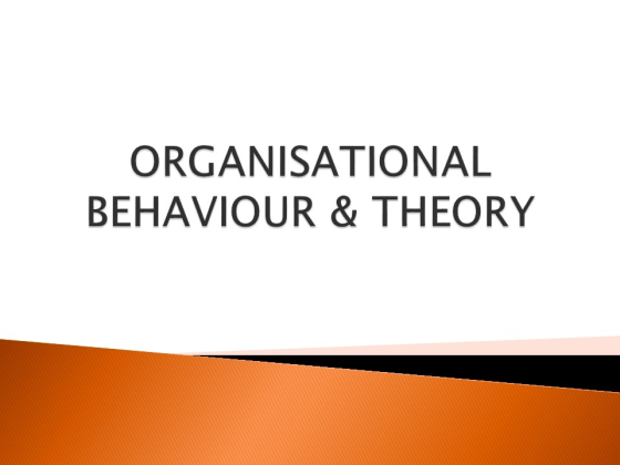 ORGANISATIONAL BEHAVIOUR & THEORY