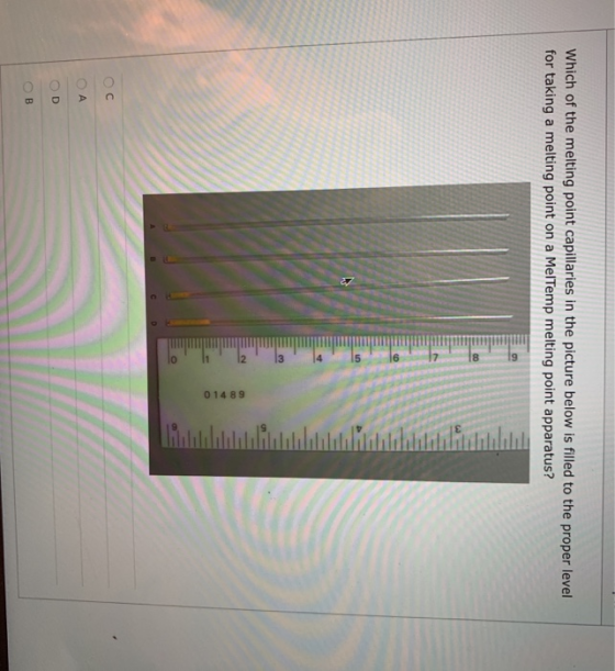 Which of the melting point capillaries in the picture below is filled to the proper level for taking a melting point on a Mel